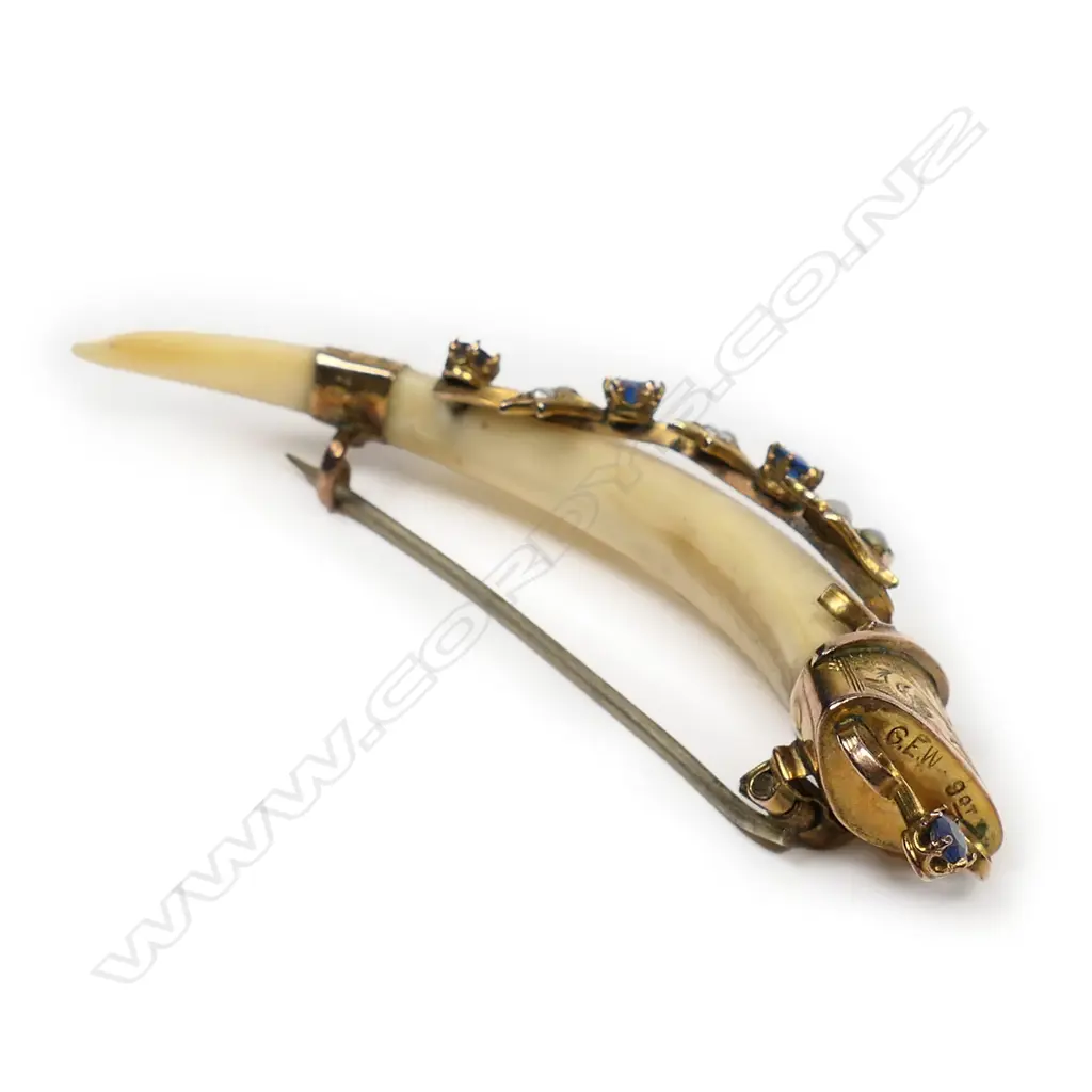 George E. Whitmore (Auckland) N.Z. colonial made 9ct. yellow gold and jewelled tusk brooch, Image 1++